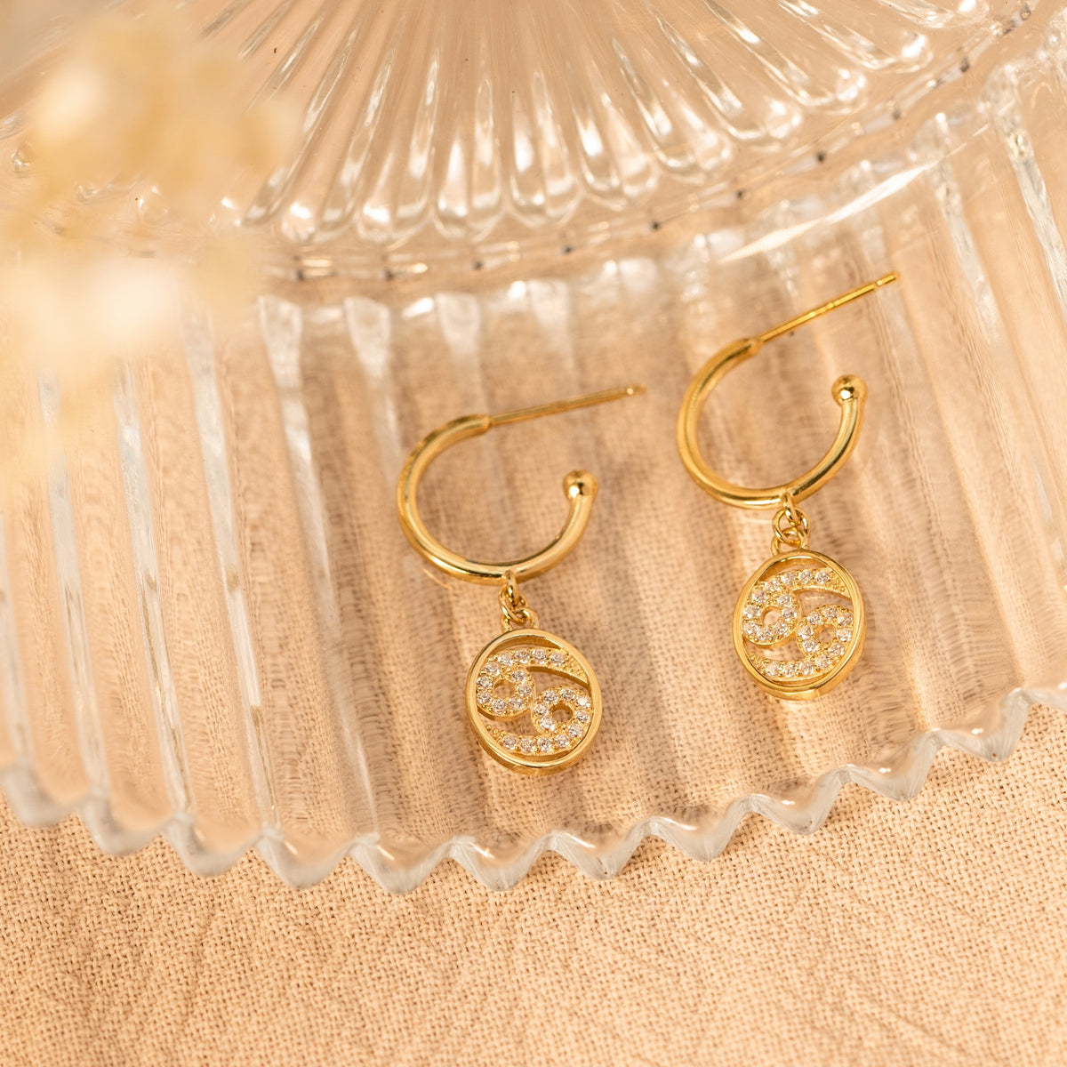 Zodiac Drop Earrings