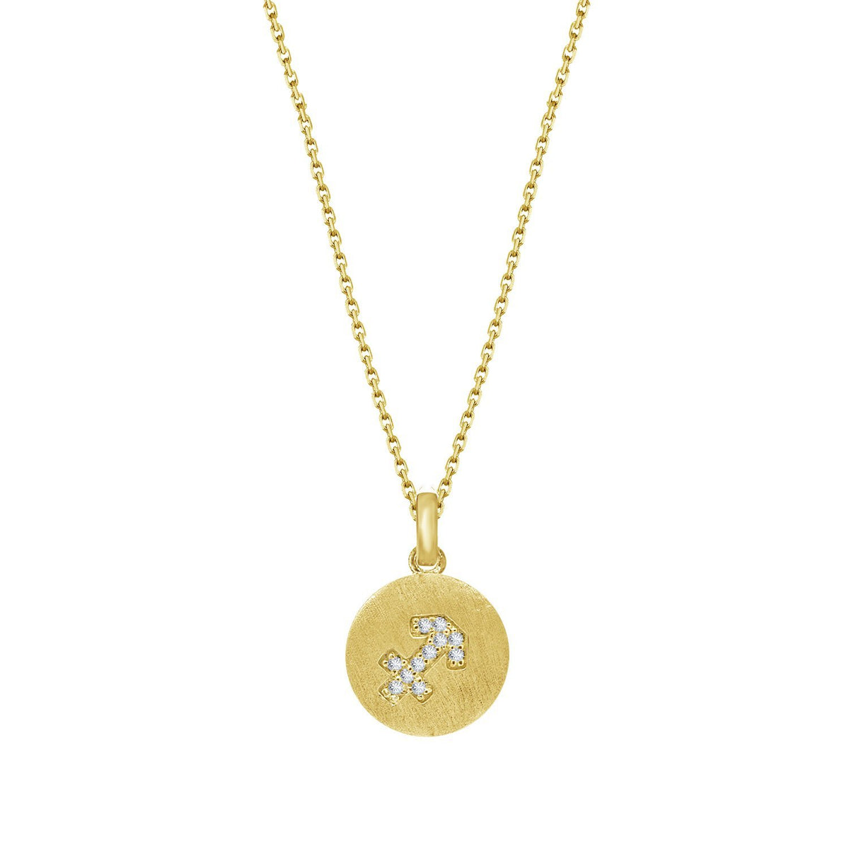 Zodiac Satin Disc Necklace